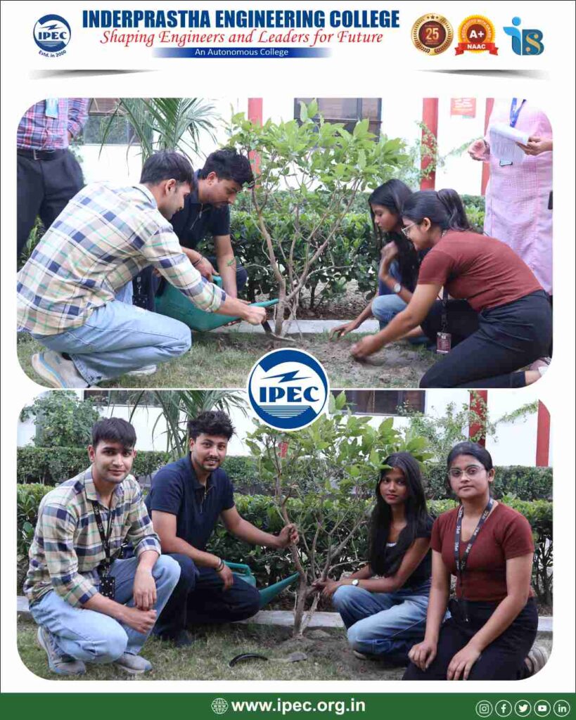 Plantation drive 1 (1)