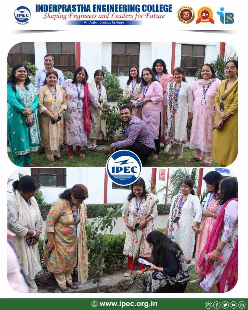 Plantation drive 1 (3)