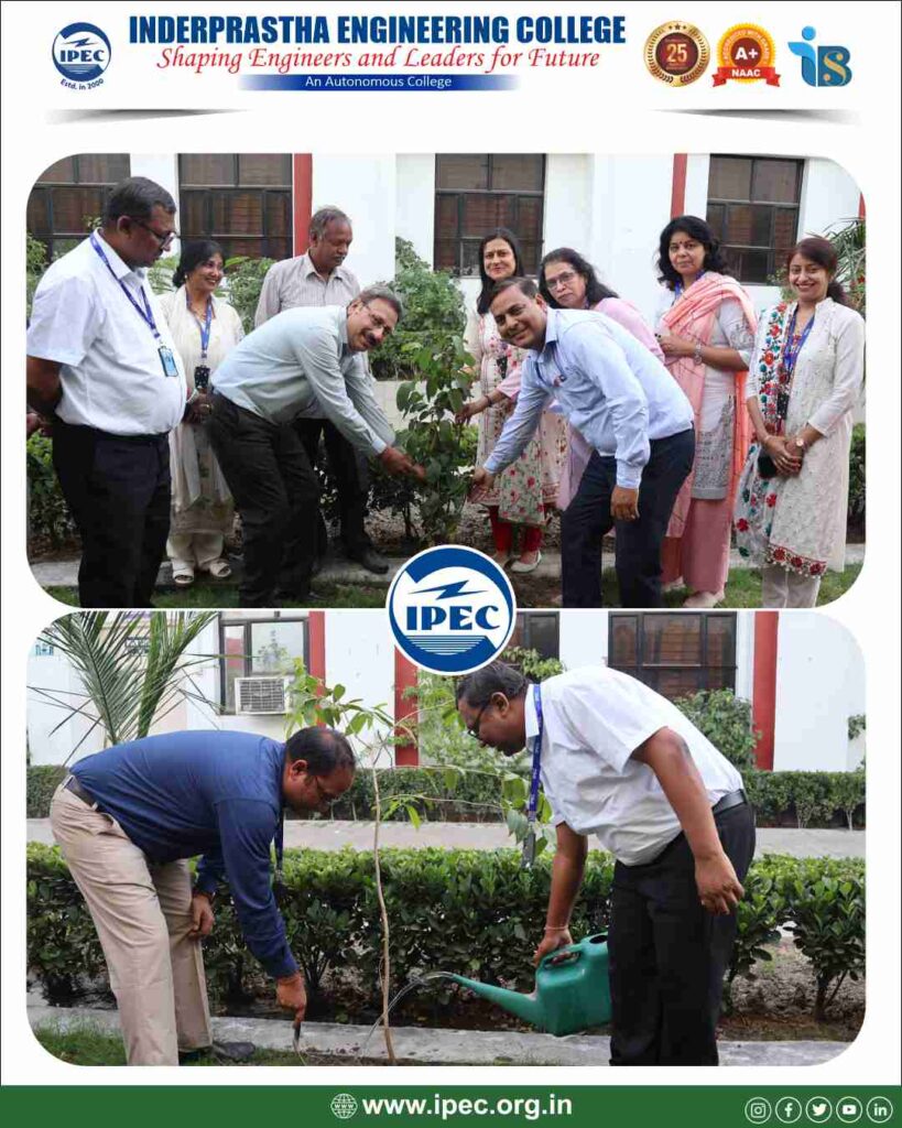 Plantation drive 1 (4)