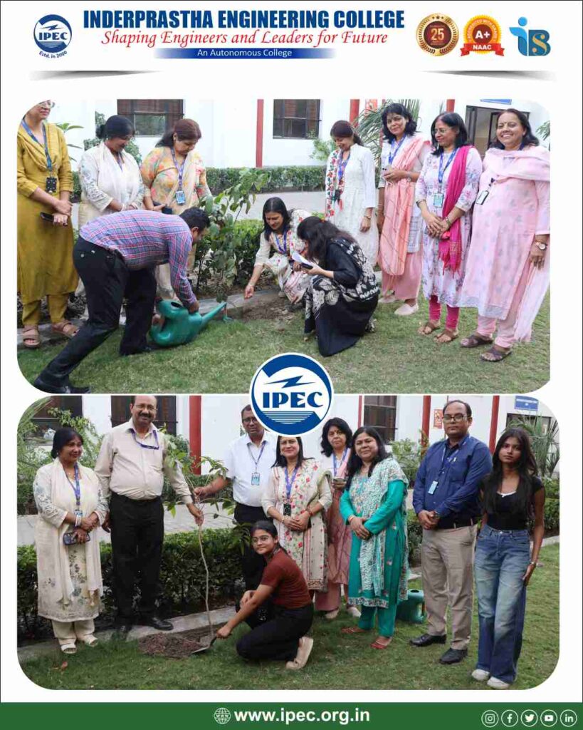 Plantation drive 1 (5)